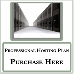 hosting.30